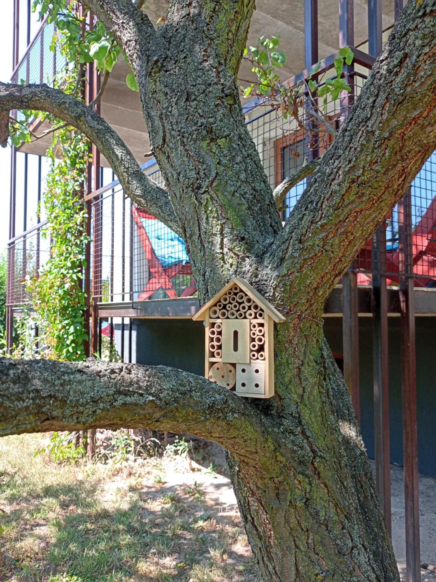 Vila Vekose - Apartman S Terasou A Zahradou Hradec Kralove Luaran gambar